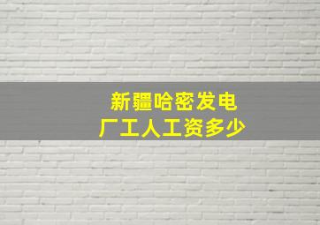 新疆哈密发电厂工人工资多少