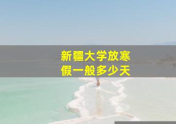 新疆大学放寒假一般多少天