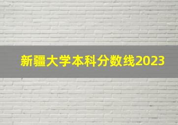 新疆大学本科分数线2023