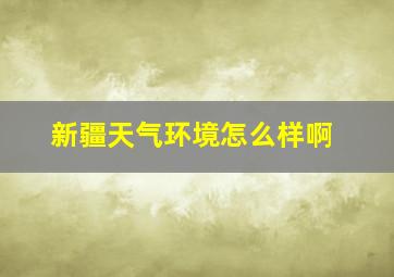 新疆天气环境怎么样啊