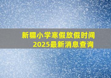 新疆小学寒假放假时间2025最新消息查询