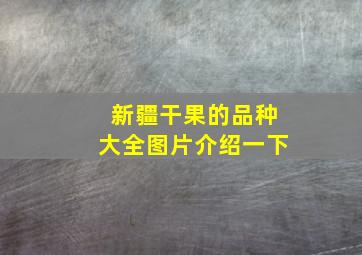 新疆干果的品种大全图片介绍一下