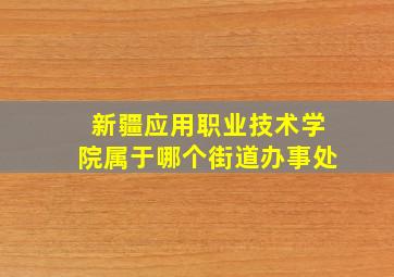 新疆应用职业技术学院属于哪个街道办事处