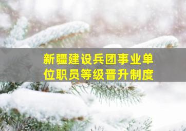 新疆建设兵团事业单位职员等级晋升制度