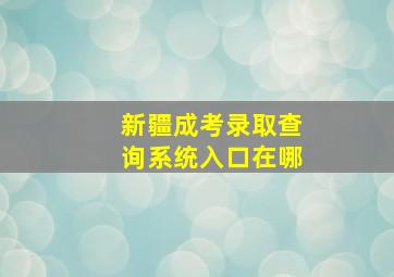 新疆成考录取查询系统入口在哪