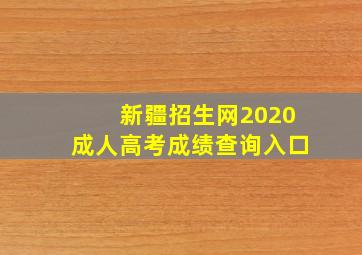 新疆招生网2020成人高考成绩查询入口