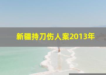 新疆持刀伤人案2013年