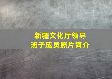 新疆文化厅领导班子成员照片简介