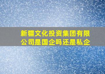 新疆文化投资集团有限公司是国企吗还是私企