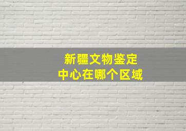 新疆文物鉴定中心在哪个区域