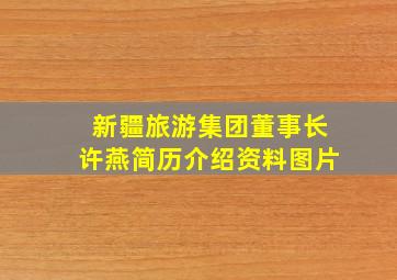 新疆旅游集团董事长许燕简历介绍资料图片