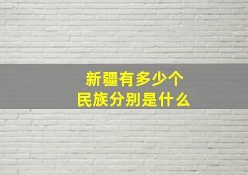 新疆有多少个民族分别是什么