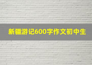 新疆游记600字作文初中生