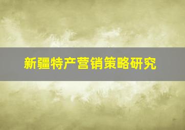 新疆特产营销策略研究