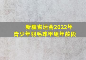 新疆省运会2022年青少年羽毛球甲组年龄段