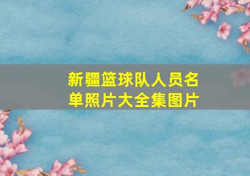 新疆篮球队人员名单照片大全集图片