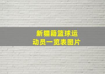 新疆籍篮球运动员一览表图片