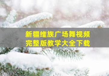 新疆维族广场舞视频完整版教学大全下载