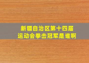 新疆自治区第十四届运动会拳击冠军是谁啊