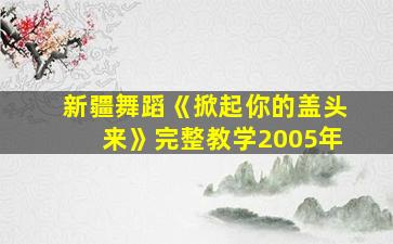 新疆舞蹈《掀起你的盖头来》完整教学2005年