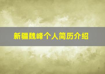 新疆魏峰个人简历介绍