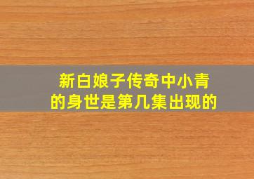 新白娘子传奇中小青的身世是第几集出现的