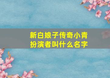 新白娘子传奇小青扮演者叫什么名字