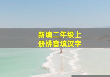 新编二年级上册拼音填汉字