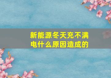 新能源冬天充不满电什么原因造成的