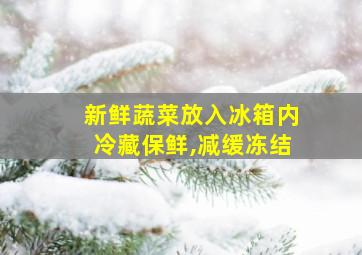 新鲜蔬菜放入冰箱内冷藏保鲜,减缓冻结