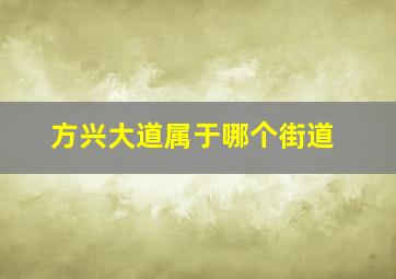 方兴大道属于哪个街道