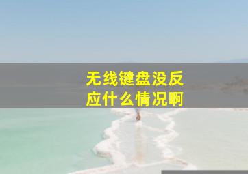 无线键盘没反应什么情况啊