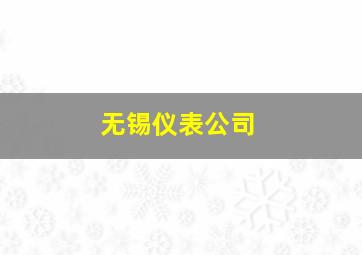 无锡仪表公司