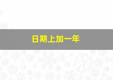 日期上加一年