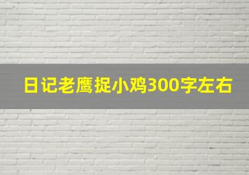 日记老鹰捉小鸡300字左右