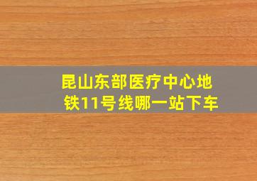 昆山东部医疗中心地铁11号线哪一站下车