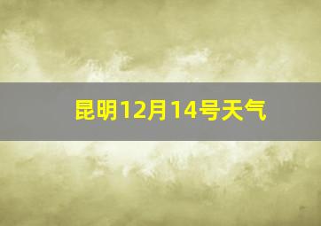 昆明12月14号天气