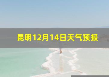 昆明12月14日天气预报