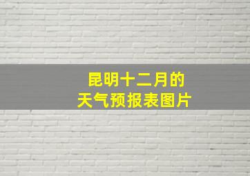 昆明十二月的天气预报表图片