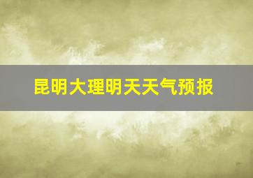 昆明大理明天天气预报