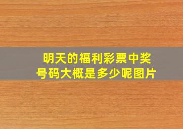 明天的福利彩票中奖号码大概是多少呢图片