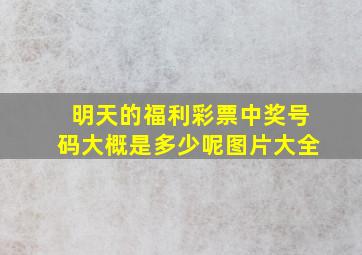 明天的福利彩票中奖号码大概是多少呢图片大全