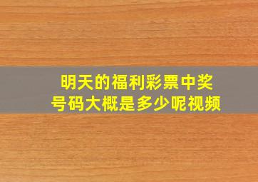 明天的福利彩票中奖号码大概是多少呢视频