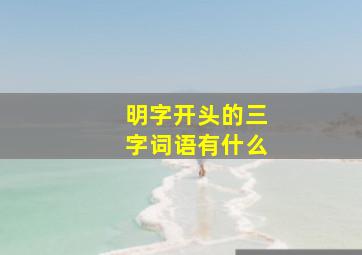 明字开头的三字词语有什么