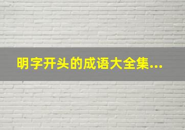 明字开头的成语大全集...