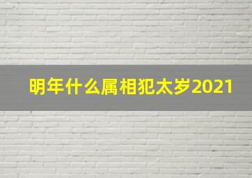 明年什么属相犯太岁2021