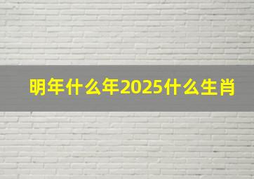 明年什么年2025什么生肖