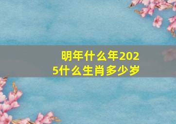 明年什么年2025什么生肖多少岁