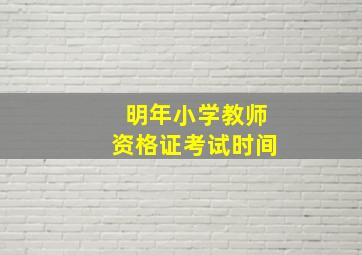 明年小学教师资格证考试时间