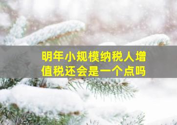 明年小规模纳税人增值税还会是一个点吗